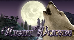 Zagraj Nocne Wilki