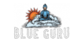 Bluegurugames