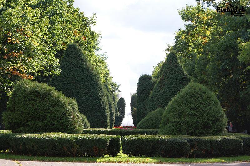 Zdjęcie Białegostoku