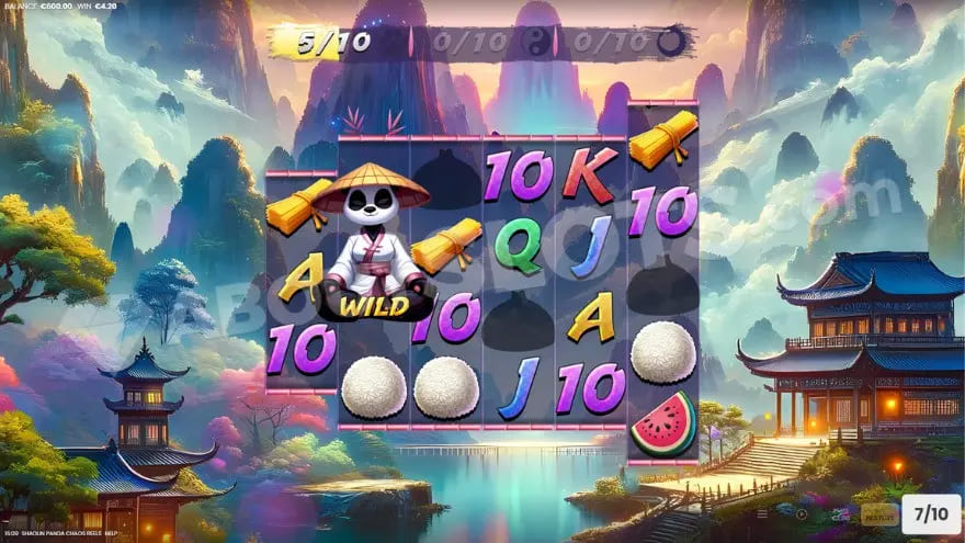 Shaolin Panda Shaolin Panda