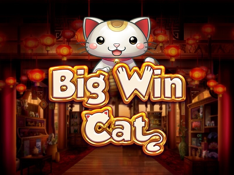 Duża Wygrana Kot Duża Wygrana Kot