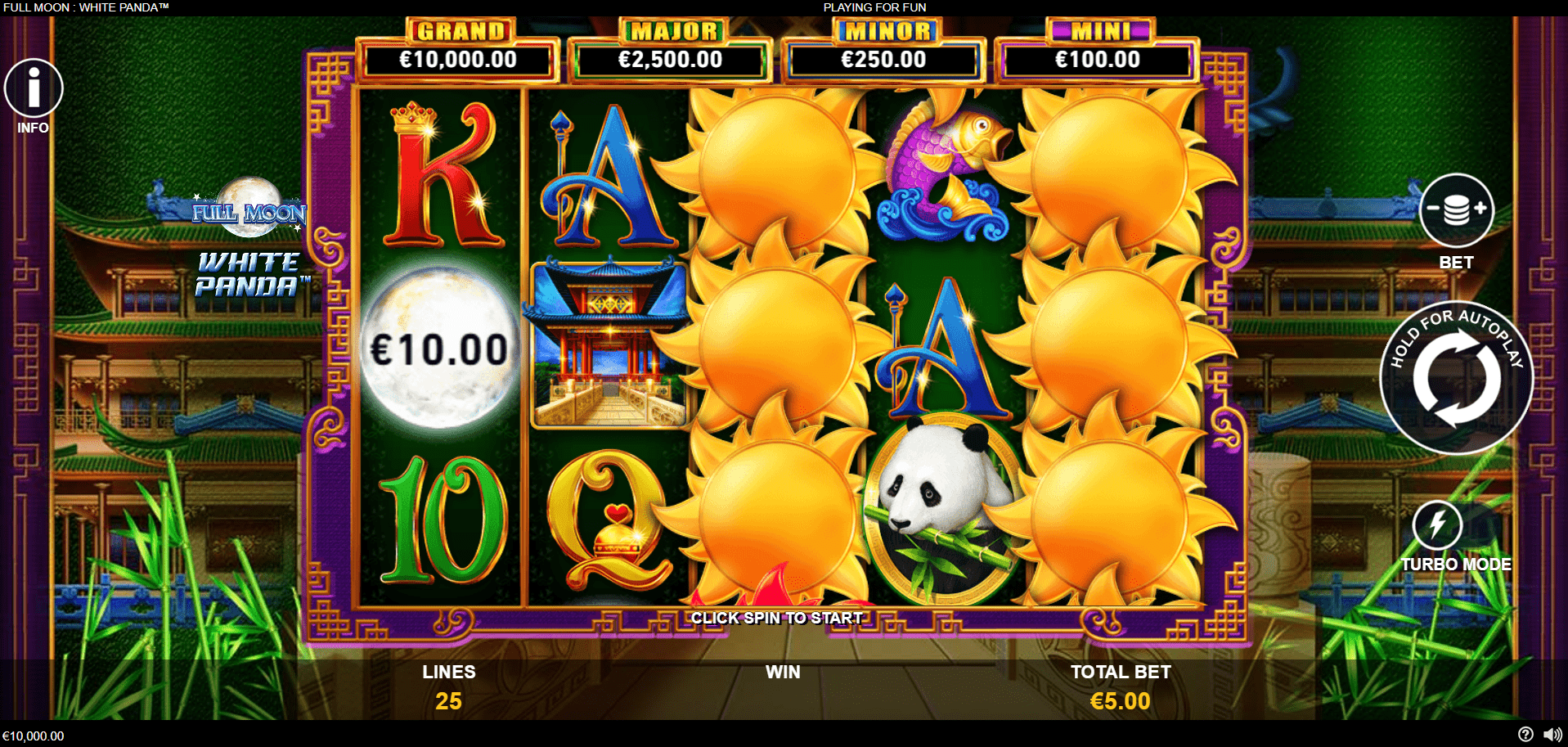 Pełnia Księżyca Biała Panda Pełnia Księżyca Biała Panda