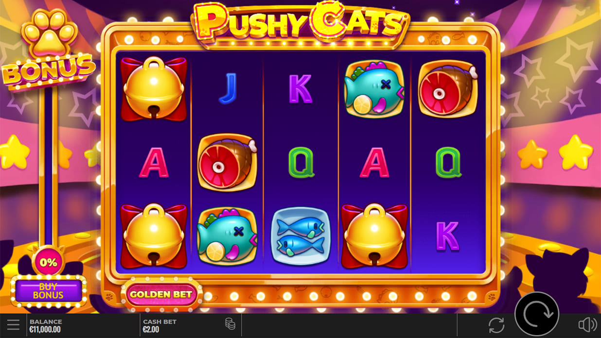 Recenzja Pushy Cats